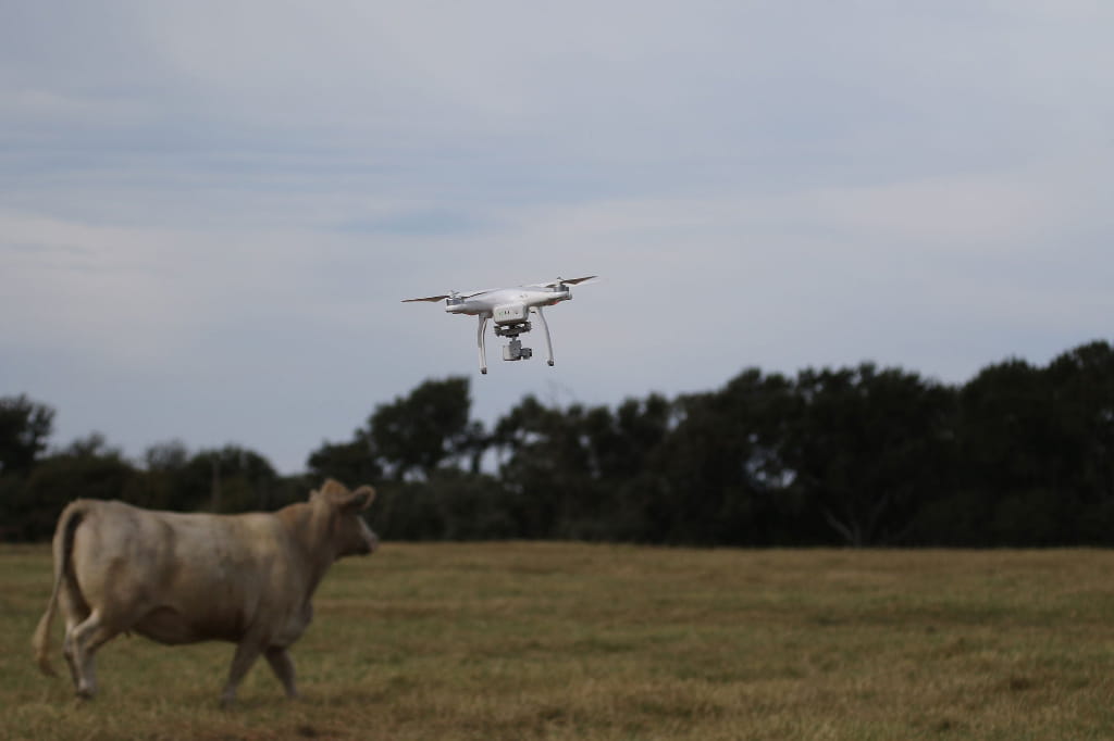 Drone flying over a pasture to assist with locating and monitoring livestock during an aerial search operation in Wisconsin.